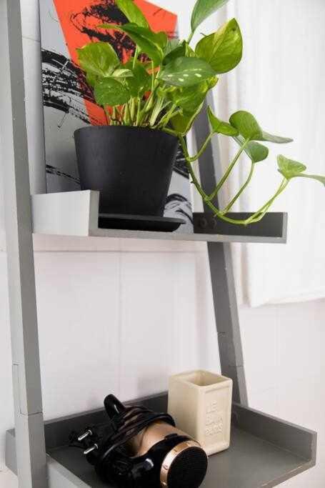 Lujoso Apartamento Con Patio En Triana Sevilla Extérieur photo